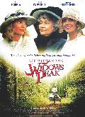 Witwen von Widow Peak, Die