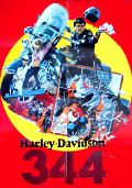 Harley Davidson 344